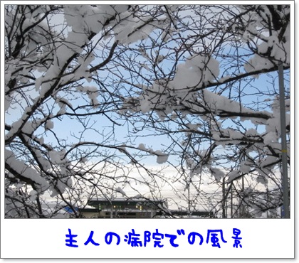 b0004459_20502949.jpg