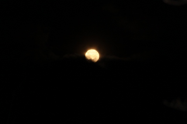 ご縁_d0101562_10361511.jpg