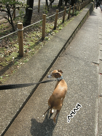 f0158862_19264610.gif