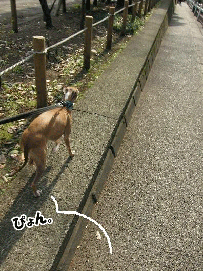 f0158862_19265953.gif