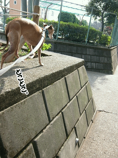 f0158862_19271876.gif