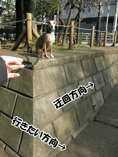 f0158862_19273920.gif