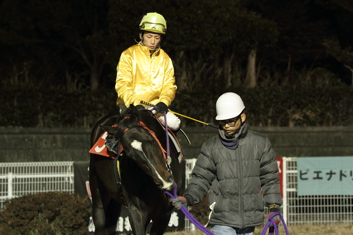 2011年1月30日(日) 高知競馬 10R 菜の花ウォーキング特別 C2-1 選抜馬_a0077663_15465498.jpg