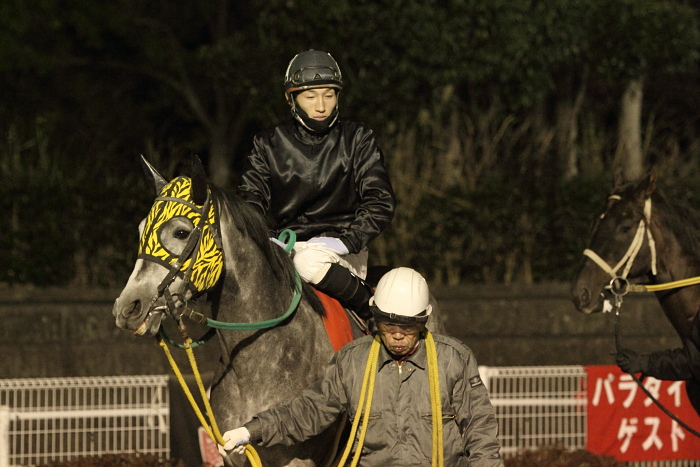 2011年1月30日(日) 高知競馬 10R 菜の花ウォーキング特別 C2-1 選抜馬_a0077663_15471372.jpg