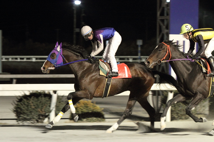2011年1月30日(日) 高知競馬 10R 菜の花ウォーキング特別 C2-1 選抜馬_a0077663_15482759.jpg