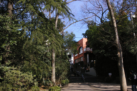 吉祥寺に行きましたPart1 井の頭自然文化園_a0186568_22114317.jpg