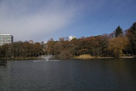吉祥寺に行きましたPart1 井の頭自然文化園_a0186568_22262576.jpg