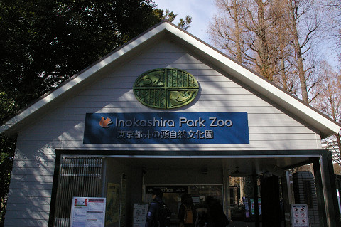 吉祥寺に行きましたPart1 井の頭自然文化園_a0186568_222889.jpg
