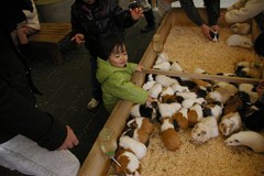 吉祥寺に行きましたPart1 井の頭自然文化園_a0186568_2241396.jpg