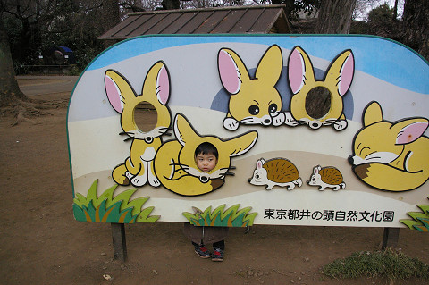 吉祥寺に行きましたPart1 井の頭自然文化園_a0186568_22432252.jpg