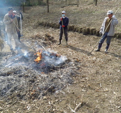 焼き芋をもらった時の事_c0122670_21182589.jpg