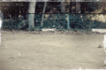 f0225871_23194251.gif
