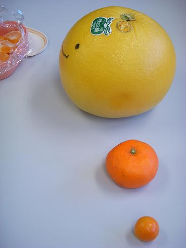 e0198877_12385133.jpg