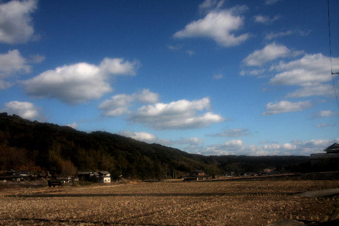 b0171185_1657145.jpg