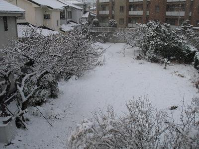 この冬３回目の積雪。朝２種類を焙煎しました_e0130185_1119228.jpg