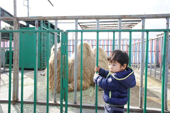 移動動物園と盆栽_d0146888_18125099.jpg