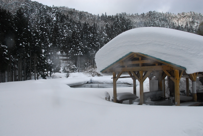 豪雪地方でランチ。_a0049296_20324239.jpg