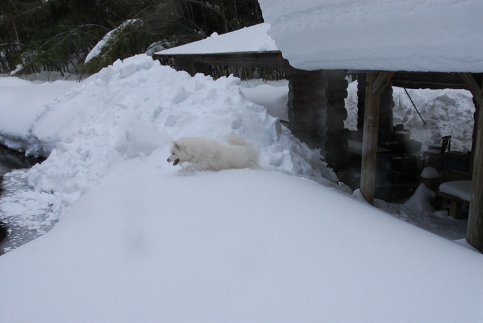 豪雪地方でランチ。_a0049296_20351175.jpg