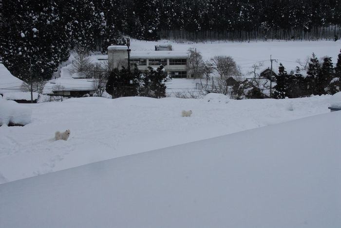 豪雪地方でランチ。_a0049296_20371098.jpg