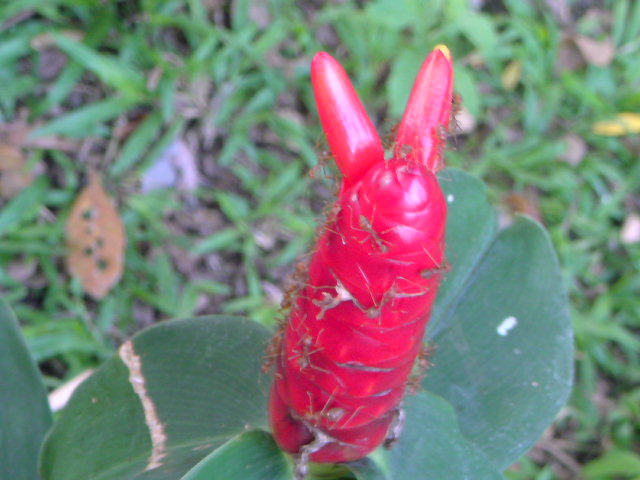 b0157197_16532468.jpg