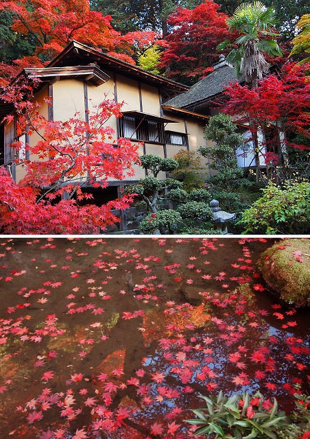 【京都旅行編―湖東三山　．金剛輪寺】_e0039703_1935885.jpg