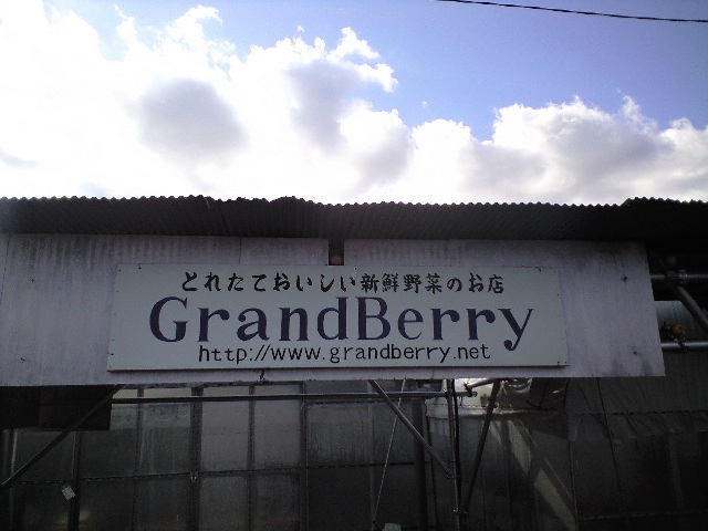 いちご狩り-ハウスの中は春-_a0194908_13362582.jpg