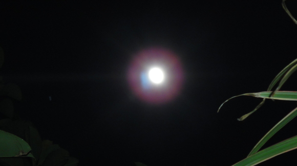 b0197609_1255930.jpg