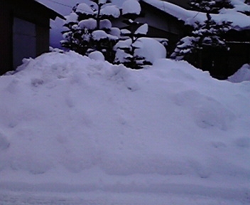 b0159210_022415.jpg
