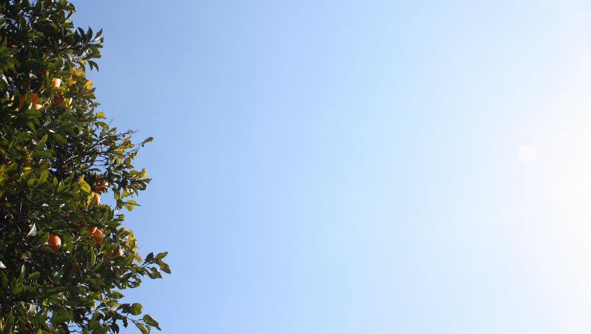 c0116312_11172243.jpg