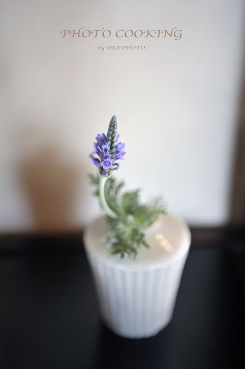 ムスカリの花_e0127416_17334531.jpg