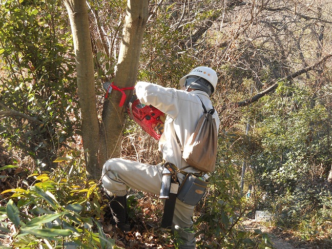 筆山公園整備活動パートⅠ(第297号)_e0138321_7472087.jpg