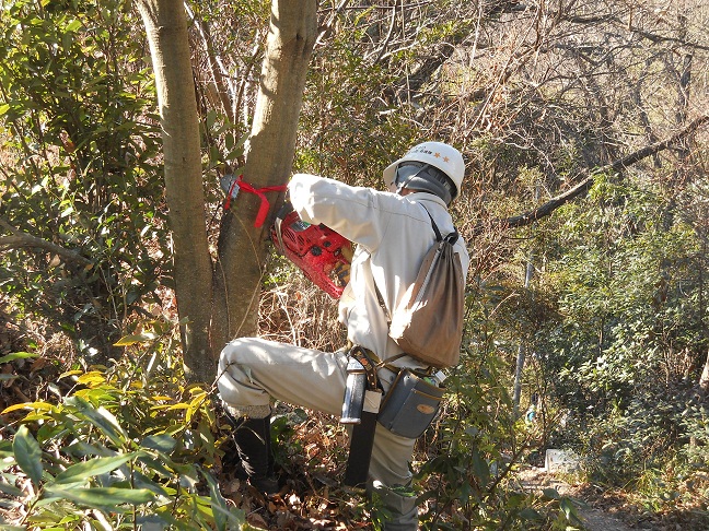 筆山公園整備活動パートⅠ（第297号）_e0138321_7472087.jpg