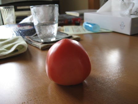 e0064227_11155160.jpg