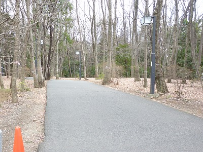 東都大学巡り・・・東洋大編“鶴ヶ島の名将”_b0166128_17494548.jpg