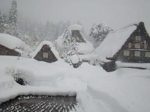 f0098728_1363254.jpg