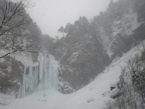 f0098728_13663.jpg