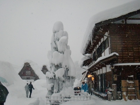 f0098728_137391.jpg