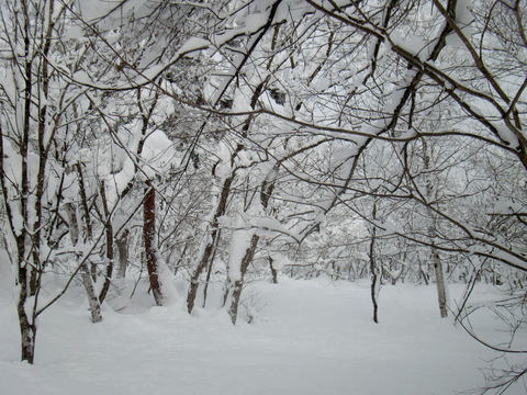 f0098728_2039276.jpg