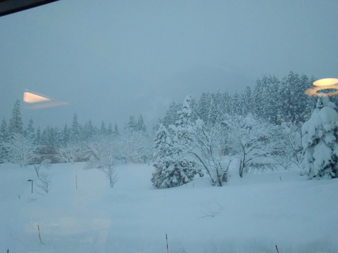 f0098728_2039444.jpg