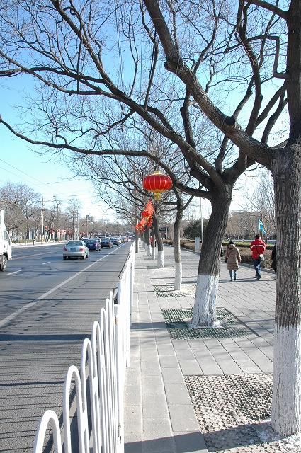 b0054936_22192140.jpg
