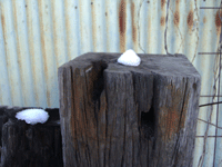 f0224039_175013.gif