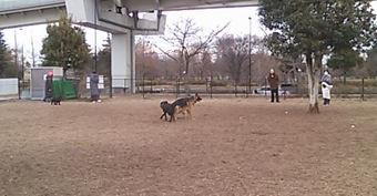 b0206147_1274148.jpg