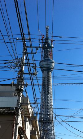 e0203652_1663688.jpg