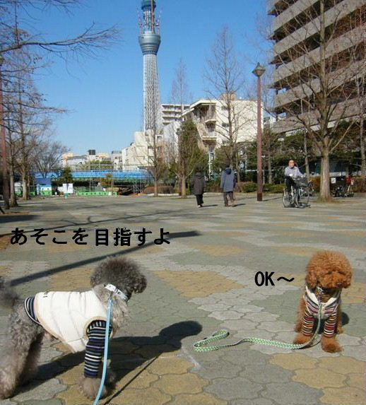 e0129656_22264817.jpg