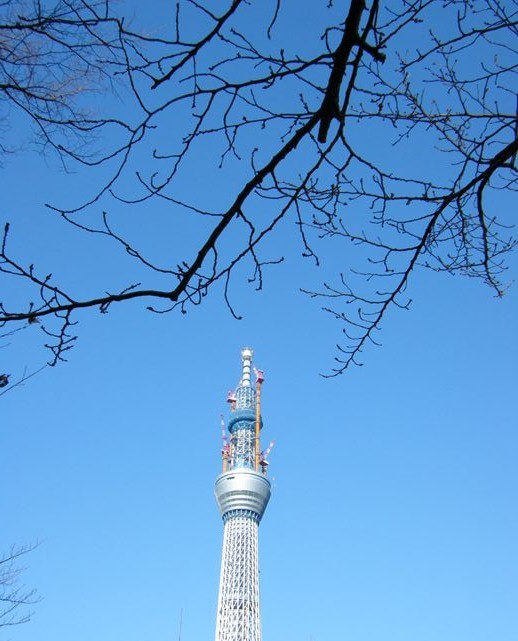 e0129656_22265589.jpg