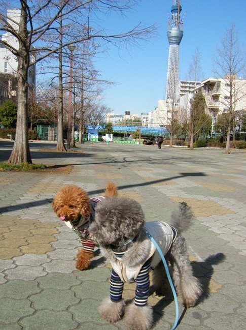 e0129656_2227121.jpg