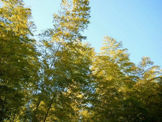 e0129656_22274427.jpg
