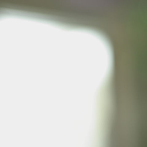 e0206057_2322333.jpg