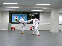 b0128159_236541.gif