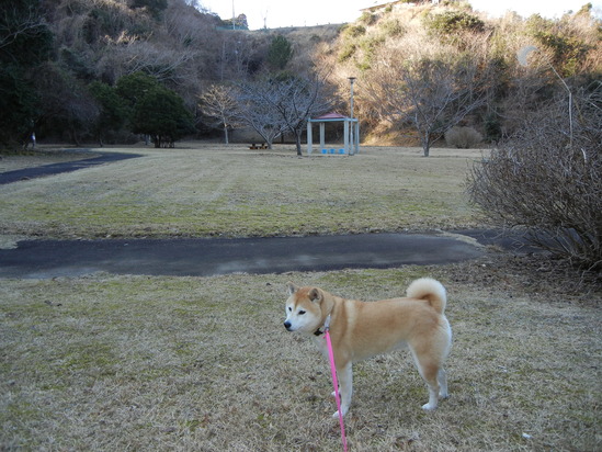 2月1日(火)姉さん、事件です!_f0060461_210360.jpg